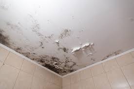 What Causes Black Mould On Ceilings