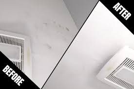 Remove Mold From Bathroom Ceiling