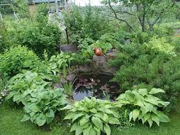 How To Make A Wildlife Pond Help Guides