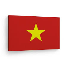 Vietnam Flag Canvas Or Metal Wall Art