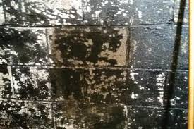 Can I Paint Over Tar Covered Cement