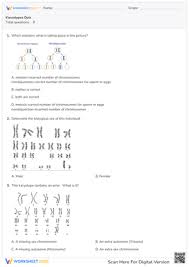 Grade 11 Stoichiometry Worksheets 2024