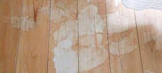 How To Remove Urine From Hardwood Floors