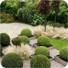 Garden Design Ideas Apk For