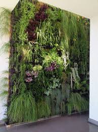 Decorate Indoor Vertical Garden