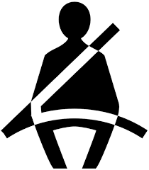 The Abdominal Seatbelt Sign Abdominal