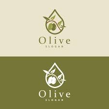 Olive Oil Logo Olive Leaf Plant Herbal