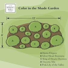 Perennial Shade Garden Ideas Forum