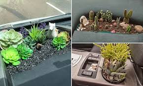Mini Garden Beds Inside Their Cars