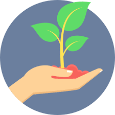 Plant Icon Png 322704 Free Icons Library