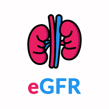 Egfr Calculator For Kidney By