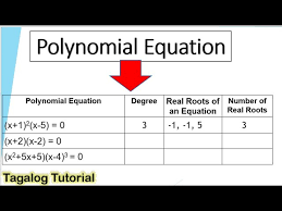 Tagalog Polynomial Equation Degree