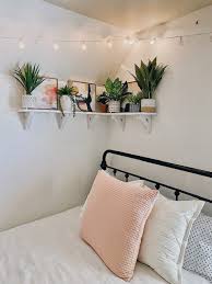 Diy Bedroom Plant Shelf Home