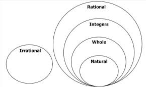 Unit 1 Algebra Basics Review