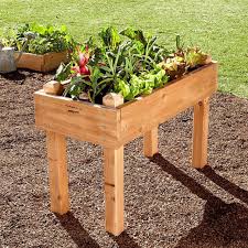 Farmer D Beds On Legs