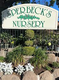 Garden Nursery In Yuba City Ca