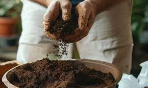 How To Optimal Soil Mix For Container