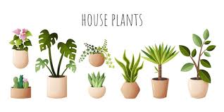 House Plants In Beige Pots