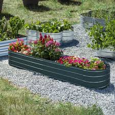 Grapevine Oval Galvanized Steel Raised