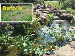 Build A Backyard Pond