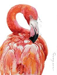 Flamingo Flair Drawing By Soo Beng Lim