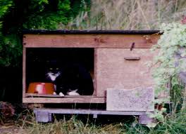Feral Cat Shelters