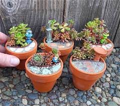 Fairy Garden Diy Miniature Garden Diy