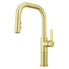 Pfister Montay Single Handle Pull Down