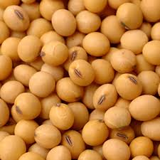 china could cut soybean demand by 30