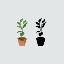 House Plants In Pots Icon Set Of Tree