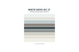 Benjamin Moore White Dove Paint Palette