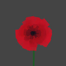 creating random poppies with p5 js and