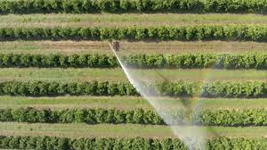 Irrigation Aerial Stock Footage