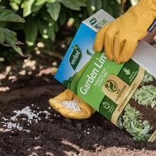 Garden Lime 4kg Plant Food Squire S