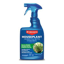 Bioadvanced Houseplant Insect