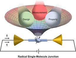 Radical Single Molecule Junctions