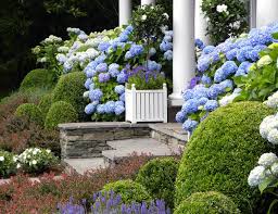How To Create A Hamptons Style Garden