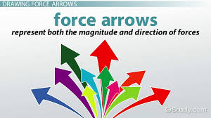 Force Arrows Examples Diagram