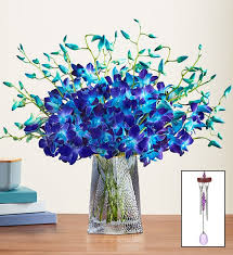 Ocean Breeze Orchids 20 Stems With Blue Vase Windchime 1 800 Flowers Flowers Delivery 140953mbhv1wc2