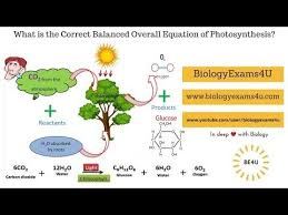 Photosynthesis Scientific Equation