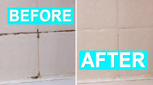 Black Mold In The Shower How To Clean