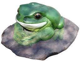 Giant Green Tree Frog On Rock