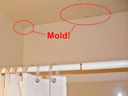 Bathroom Mold Treating And Preventing