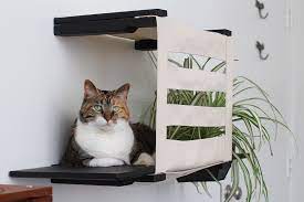 Deluxe Cat Cubby W Elevated Feeder Or