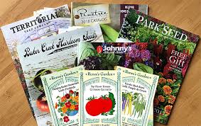 Monthly Vegetable Gardening Tips