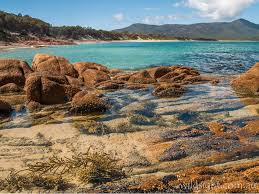 Day Walks Freycinet Wild Sight