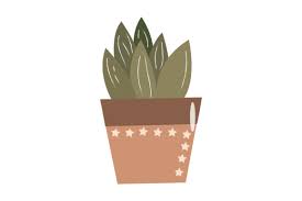 Plant With Star Pot Icon Graphic By