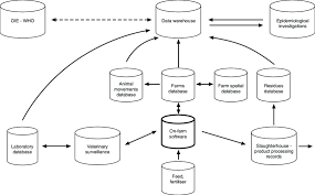 Schematic Diagram Showing How On Farm