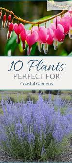 10 Plants Perfect For A Costal Garden