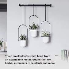 Window Hanging Planter Indoor Herb